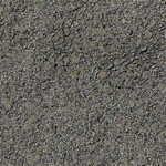 dry coral texture 512x512