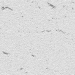 white wall texture 10-512x512