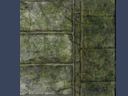 fantasy texture