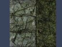 stone textures